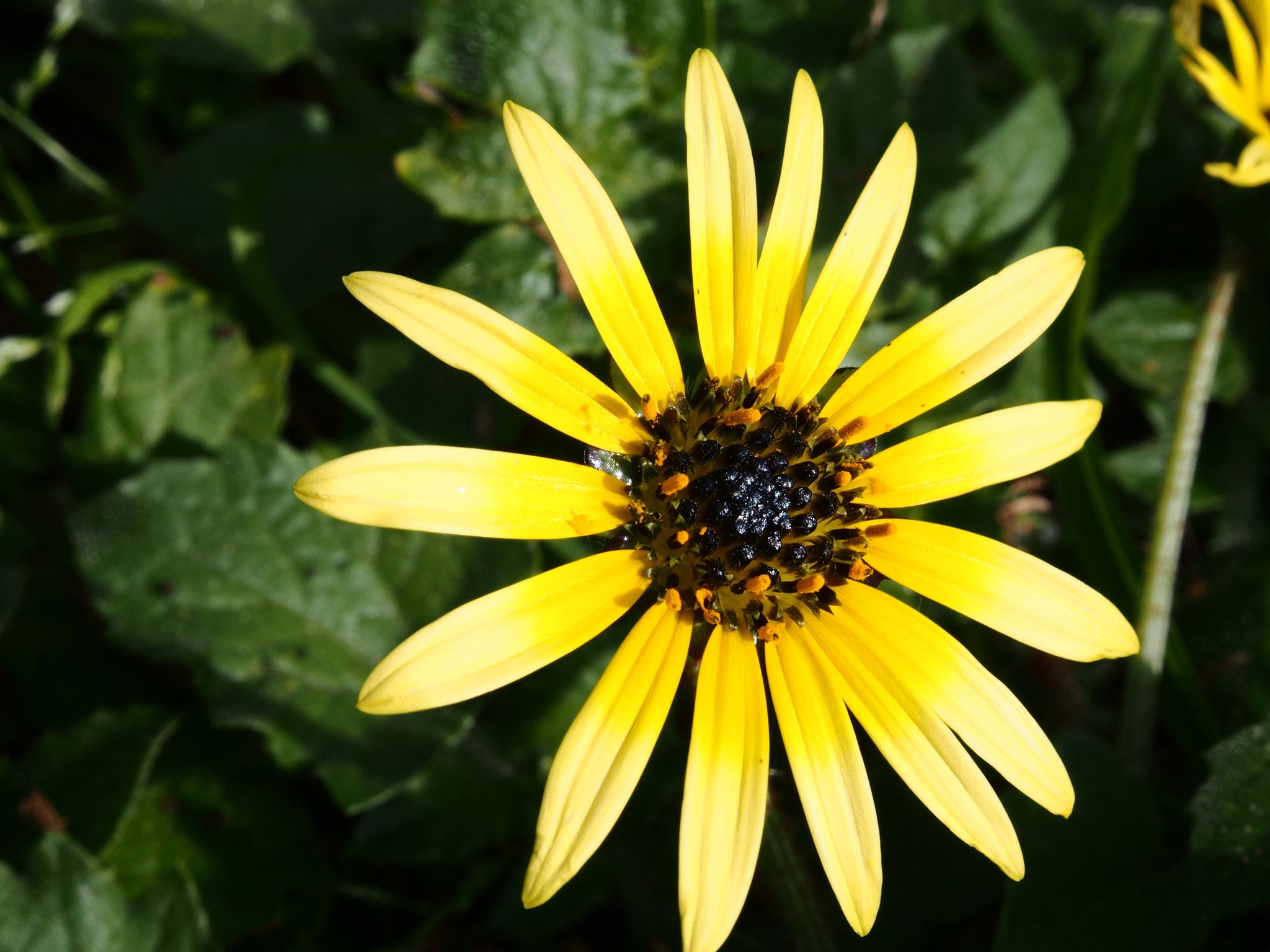 Image filtering test