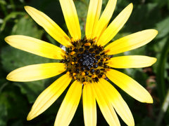 Image filtering test